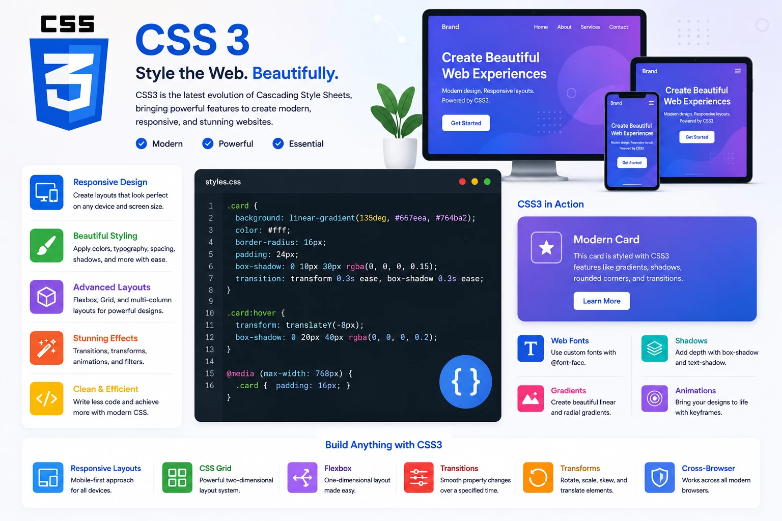 CSS 3